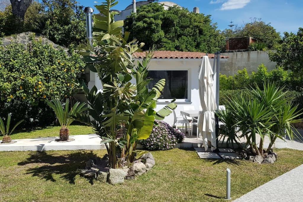 Casa Vacanza M&C Ischia Forio di Ischia Zewnętrze zdjęcie