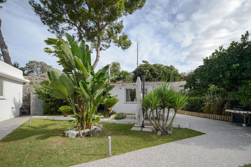 Casa Vacanza M&C Ischia Forio di Ischia Zewnętrze zdjęcie
