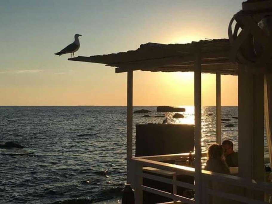 Casa Vacanza M&C Ischia Forio di Ischia Zewnętrze zdjęcie